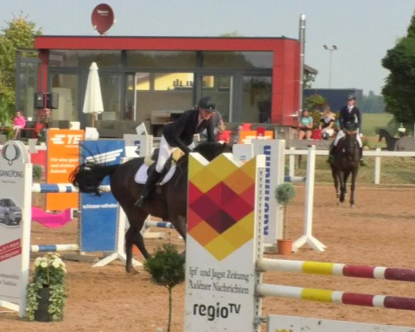 Horse Summer Meeting Jagstzell 2018