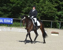 dressage horse Royal Finesse (Westphalian, 2006, from Rubin Royal OLD)