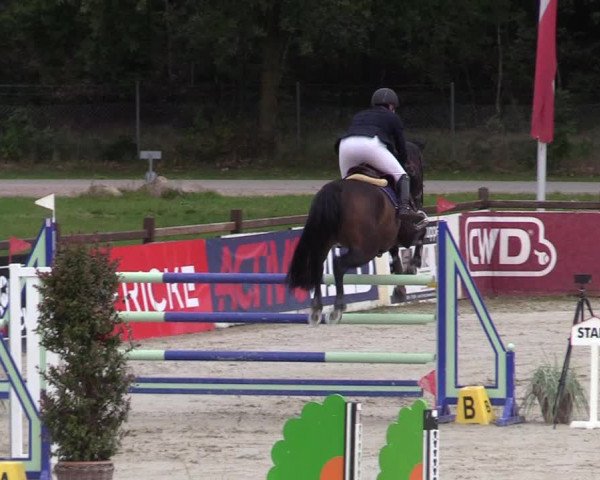 Reitturnier Westergellersen 2021