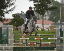 jumper Calle Coeur (Oldenburg, 2010, from Coupe de Coeur 2)