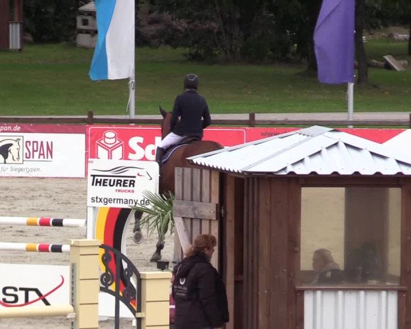 Reitturnier Westergellersen 2021