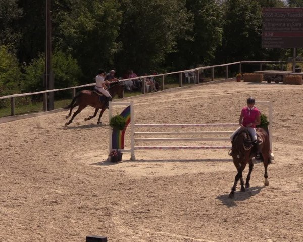 Reitturnier Monschau-Mützenich 2018