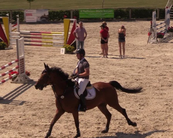 Reitturnier Monschau-Mützenich 2018