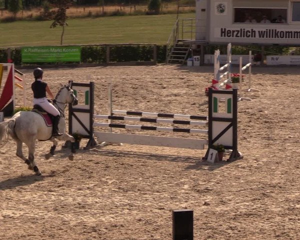 Reitturnier Monschau-Mützenich 2018