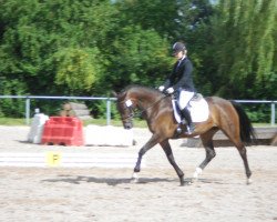 jumper Delilah 42 (Württemberger, 2007, from Birkhofs Denario)