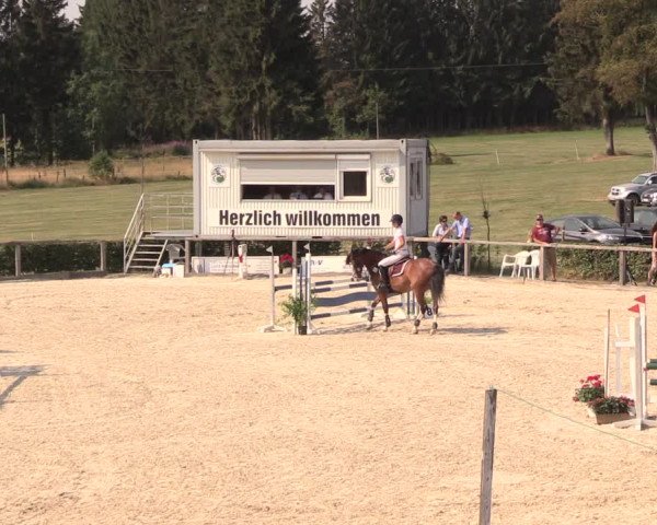 Reitturnier Monschau-Mützenich 2018