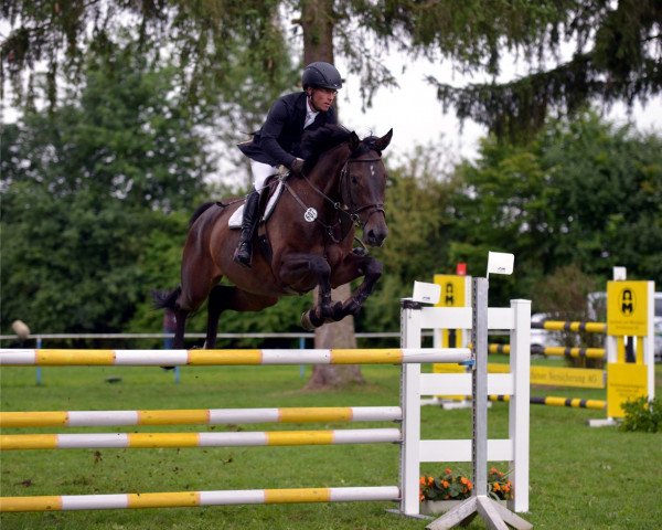 broodmare Serafin (German Sport Horse, 2011, from Lewinski)