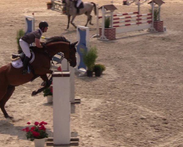 Reitturnier Monschau-Mützenich 2018