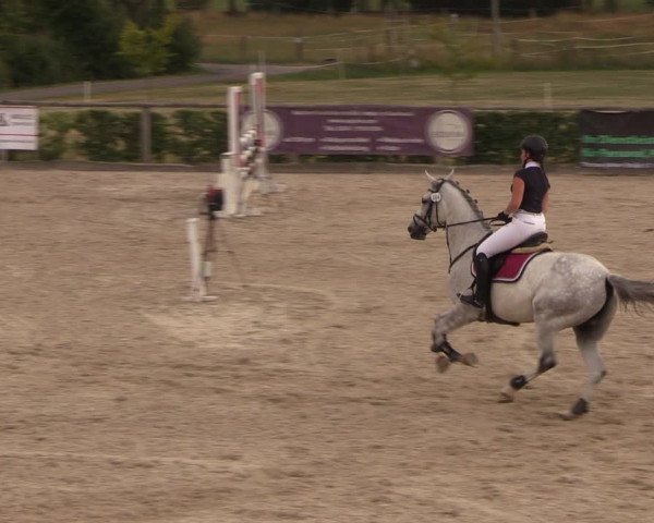 Reitturnier Monschau-Mützenich 2018