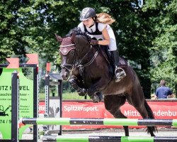 jumper Hope (German Sport Horse, 2004, from Ituango xx)