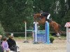 jumper Giulanio (Hanoverian, 2009, from Ginsberg)