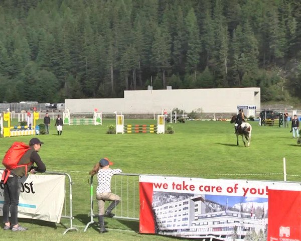 Sommer Concours Hippique St. Moritz 2018
