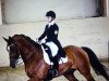 dressage horse Balian 5 (KWPN (Royal Dutch Sporthorse), 2006, from Flemmingh)