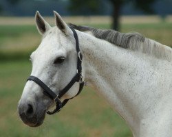 jumper Cesna Z (Rhinelander, 2003, from Co-Pilot)