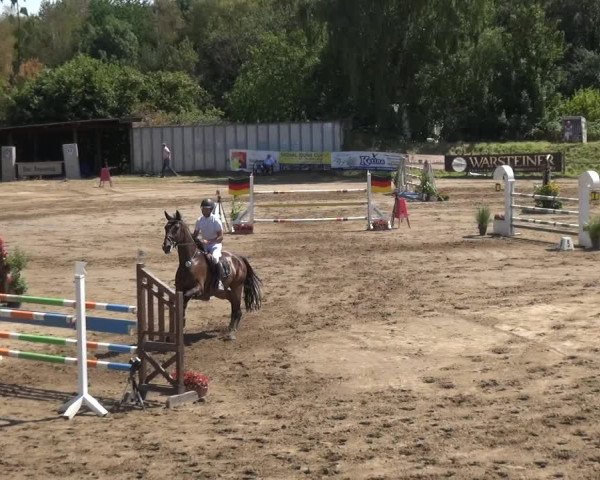 Reitturnier Neuss-Uedesheim 2018