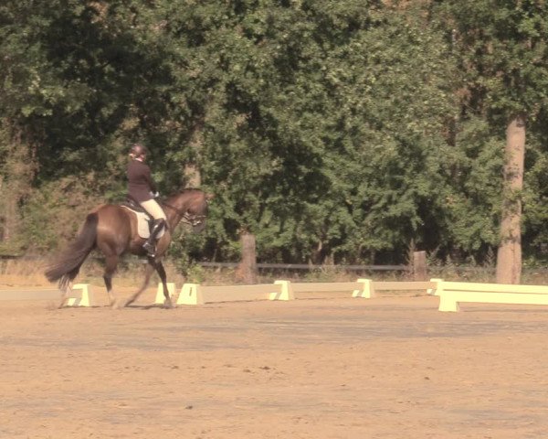 Reitturnier Olfen-Vinnum 2018