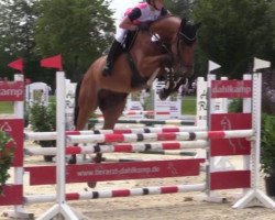 jumper Chaccord (Hanoverian, 2011, from Chacco-Blue)