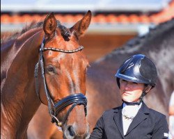 dressage horse Ron Primera (Oldenburg, 2012, from Ron Rubin)