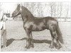 Pferd Oepke (Friese, 1977, von Wessel 237)