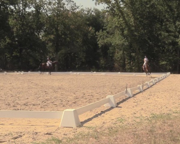 Reitturnier Olfen-Vinnum 2018