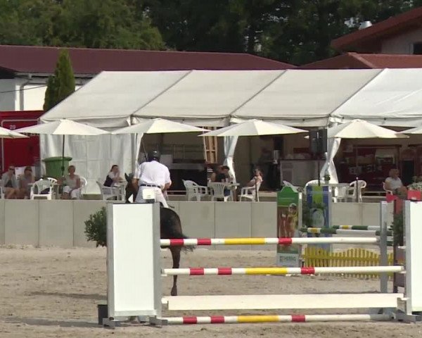 Reitturnier Grafenrheinfeld 2018