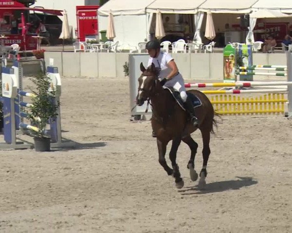 Reitturnier Grafenrheinfeld 2018