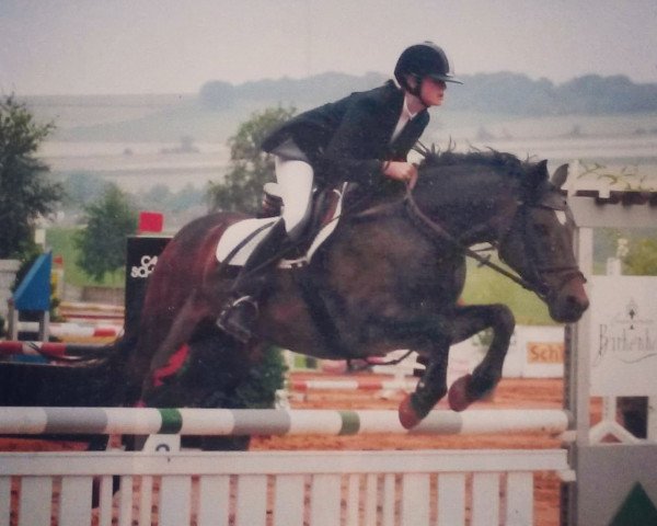 dressage horse Melian (New Forest Pony, 1993, from Frisian Forest Marco Polo)