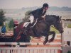 dressage horse Melian (New Forest Pony, 1993, from Frisian Forest Marco Polo)