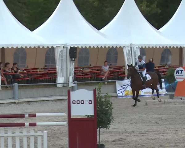 Reitturnier Grafenrheinfeld 2018