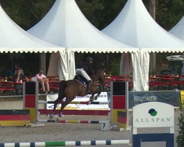 Reitturnier Grafenrheinfeld 2018