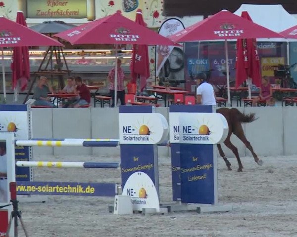 Reitturnier Grafenrheinfeld 2018