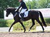 dressage horse Divina S (Hanoverian, 2012, from Don Corazon)