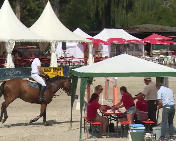 Reitturnier Grafenrheinfeld 2018