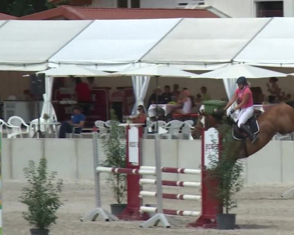Reitturnier Grafenrheinfeld 2018