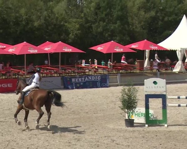 Reitturnier Grafenrheinfeld 2018
