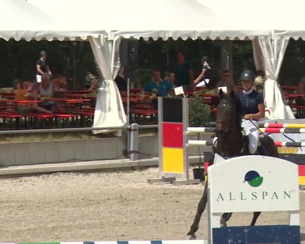 Reitturnier Grafenrheinfeld 2018