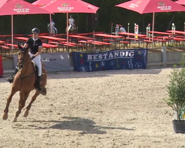 Reitturnier Grafenrheinfeld 2018