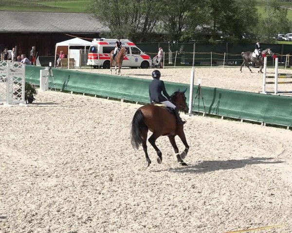 Concours Hippique Zuoz 2018