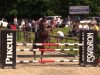 stallion Couture (Oldenburg show jumper, 2011, from Conthargos)