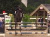 jumper Sinja 21 (Oldenburg show jumper, 2012, from Stakkatol)