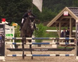 jumper Sinja 21 (Oldenburg show jumper, 2012, from Stakkatol)