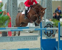 jumper Chatanooga Z (Zangersheide riding horse, 2001, from Chellano Z)