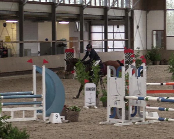 Reitturnier Langenfeld - Gut Langfort 2021