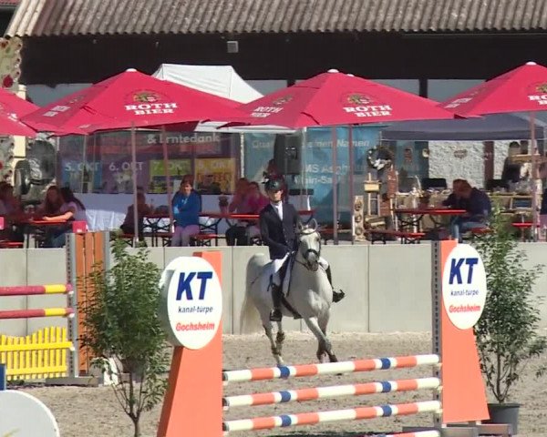 Reitturnier Grafenrheinfeld 2018