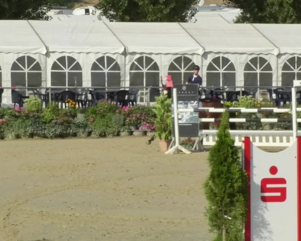 Reitturnier Oberderdingen 2018