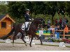 dressage horse Feodoro (Hanoverian, 2011, from Fürstenball)