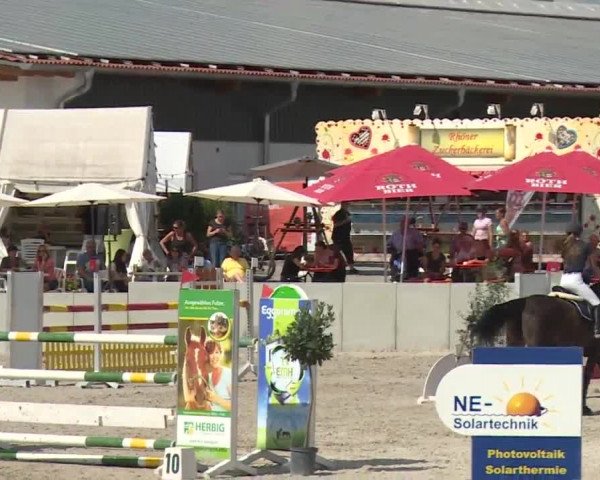 Reitturnier Grafenrheinfeld 2018