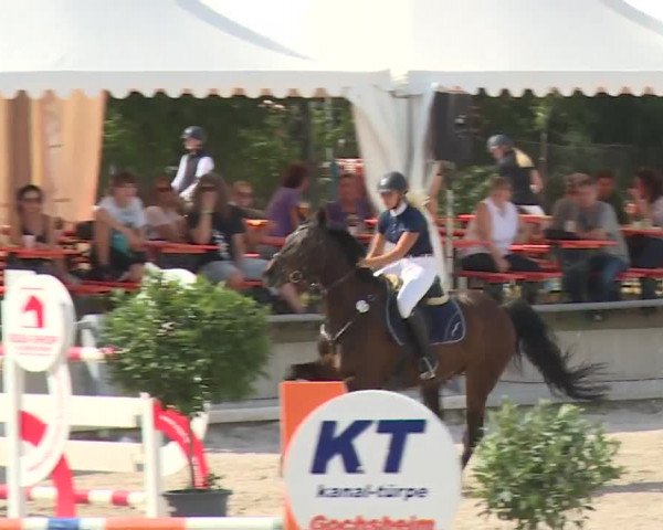 Reitturnier Grafenrheinfeld 2018