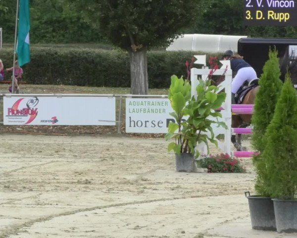 Reitturnier Oberderdingen 2018