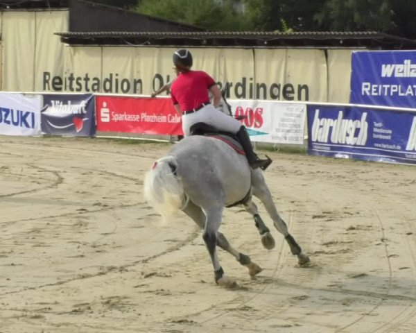 Reitturnier Oberderdingen 2018